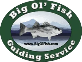 Big Ol' Fish Guiding Service logo