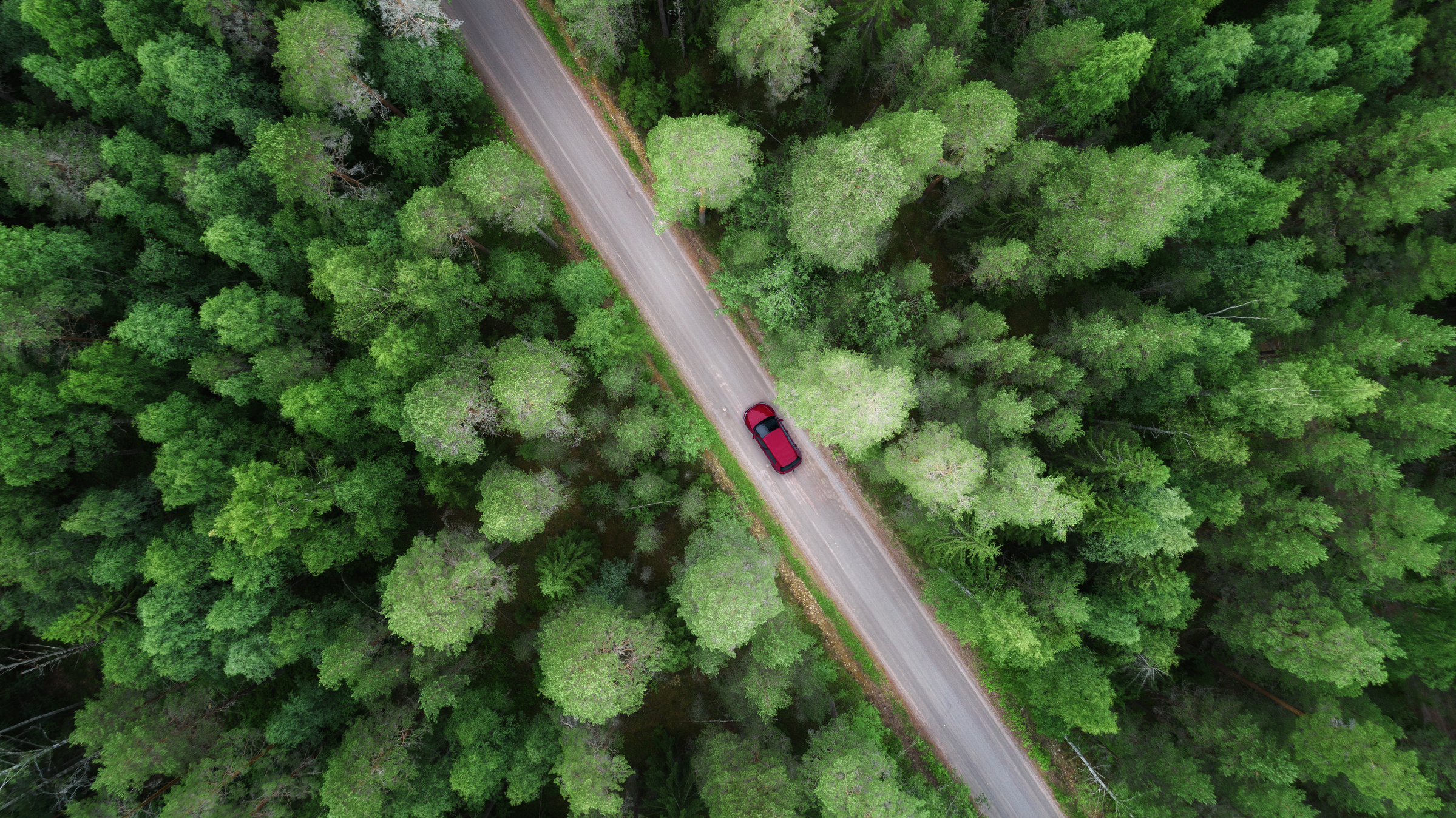 aerial view of red car driving along road surrounded by green trees