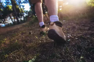 hiking shoes 