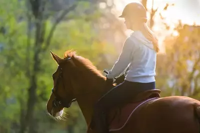 Horseback Riding 