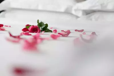 rose petals