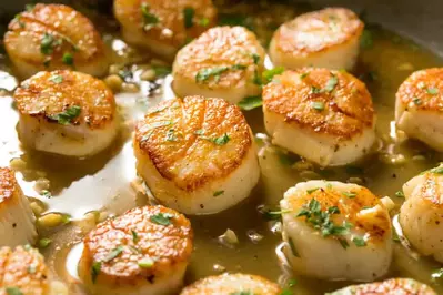 pan seared scallops