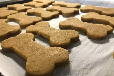 baked dog treats