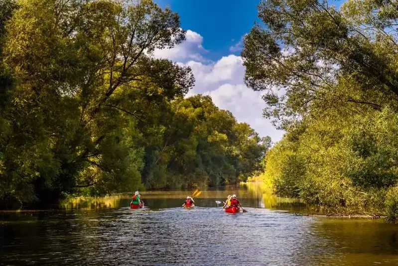 people canoeing on a river