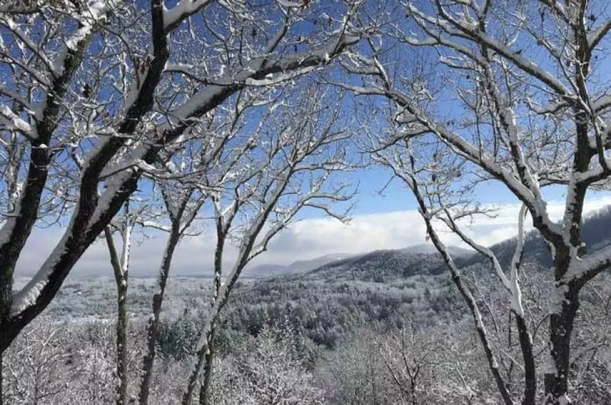 snowy view from cedar heights cabin