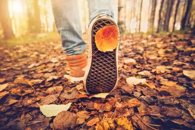 woman hiking in the fall