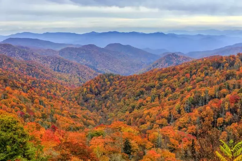 fall foliage in north carolina mountains