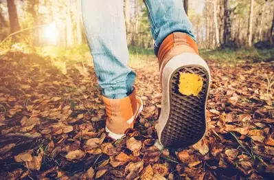 Someone walking through fall leaves.