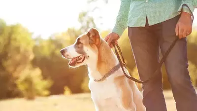 A man with his dog on a leash.