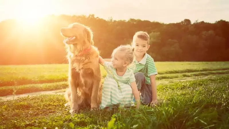 Young children playing with their dog in the grass near our pet-friendly Murphy North Carolina cabins.