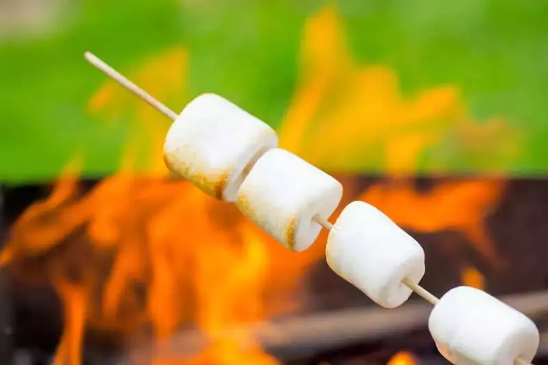 Roasting marshmallows at a Murphy NC cabin with a fire pit