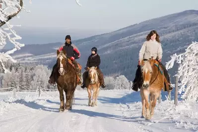 Horseback riding through a winter landscape