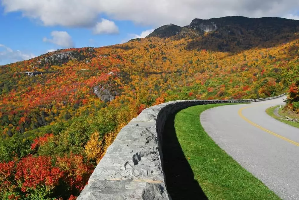 Fall leaves along the Blue Ridge Parkway