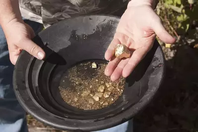 panning for gold