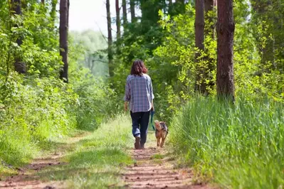 woman on hiking trail with bright sunlight