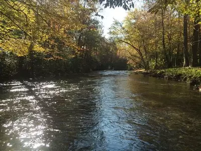 Fires Creek in Hayesville NC