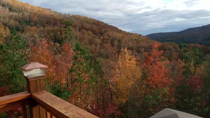 Smokies View