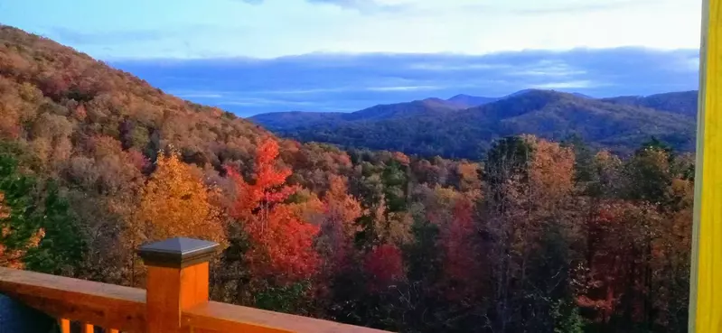 Smokies View