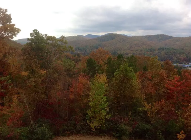 Smokies View