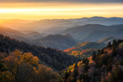 fall foliage in the mountains