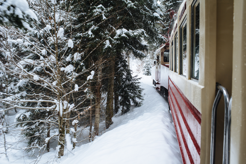 polar express train ride