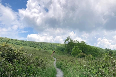 NC hiking trail