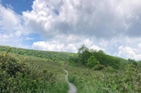 NC hiking trail